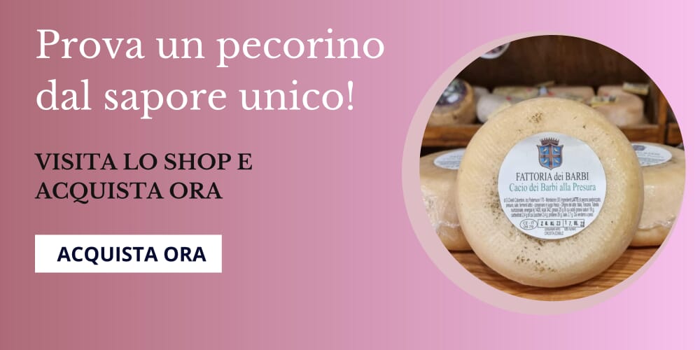 cacio pecorino 