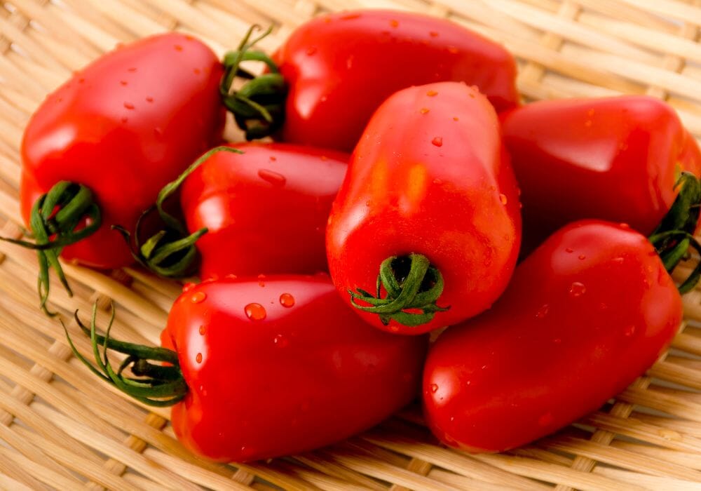 pomodoro san marzano
